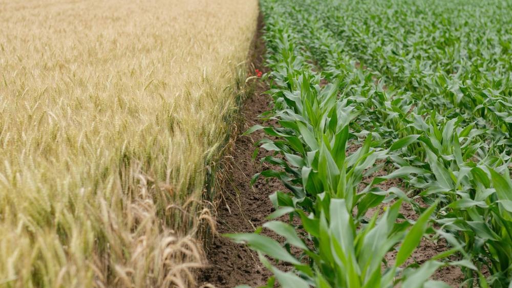 복음과 그 결과를 분리하지 말라