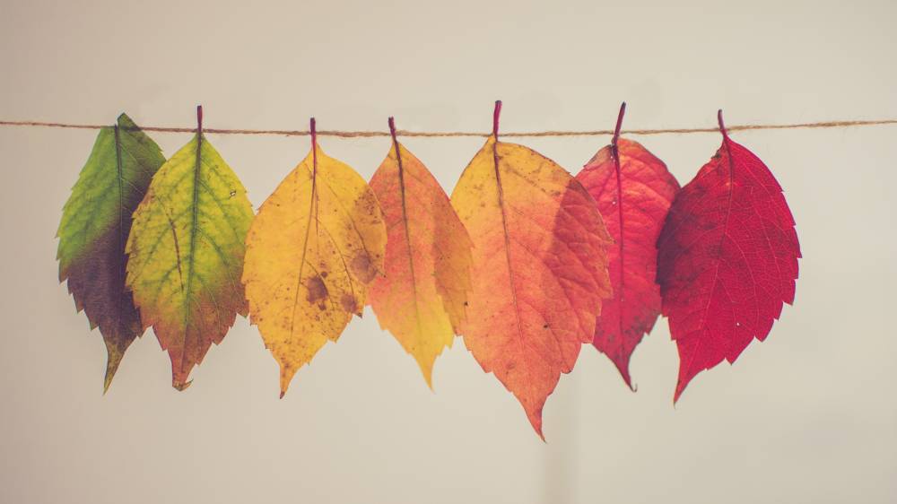 태어남과 결혼, 죽음 그리고 설교