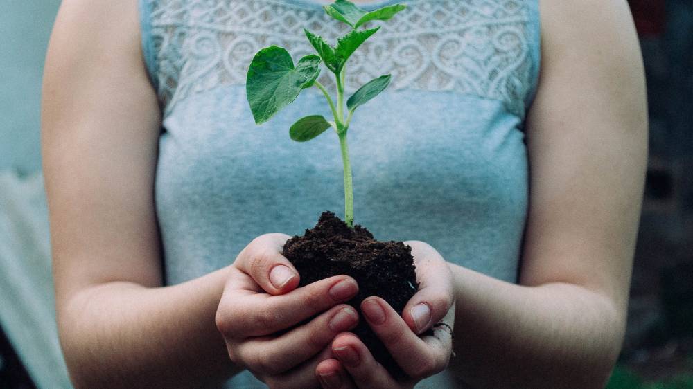 자비와 정의 사역을 위한 교회의 역할
