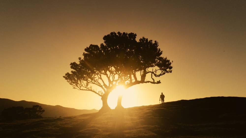 죄인된 나를 통해 일하시는 하나님의 은혜