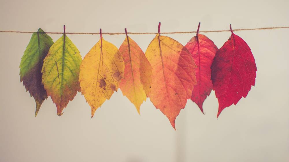 통합적 문화관을 섞어서 적용하라