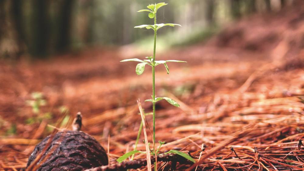 팀 켈러가 '이제 막 사역을 시작하는 이들'에게