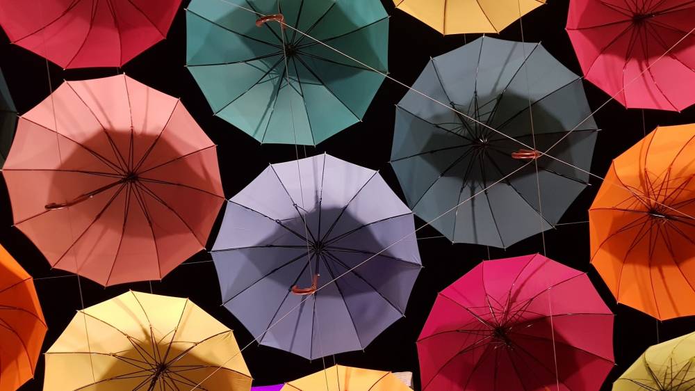 팀 켈러가 우리에게 남긴 유산 (3) : 기독교 변증