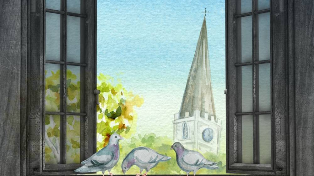 팀 켈러가 우리에게 남긴 유산 (4) : 복음 생태계