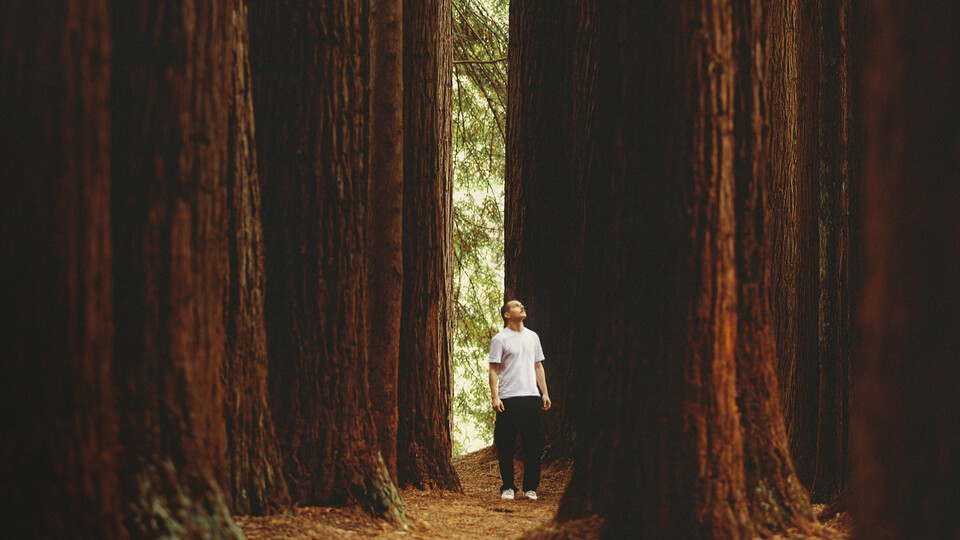 © Unsplash - Joshua Earle