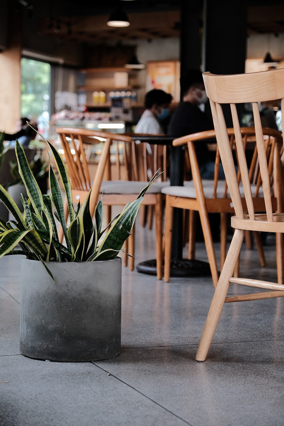 Image by BW_n_MT from Pixabay