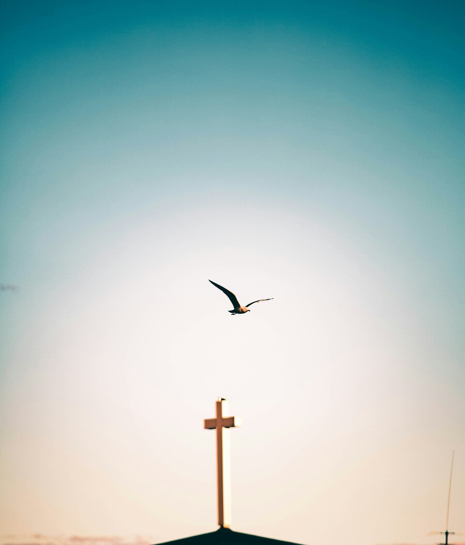 Sadan Ekdemir/Unsplash