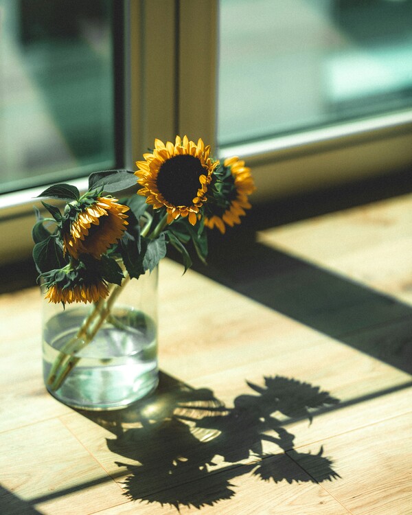 Peyman Shojaei/Unsplash