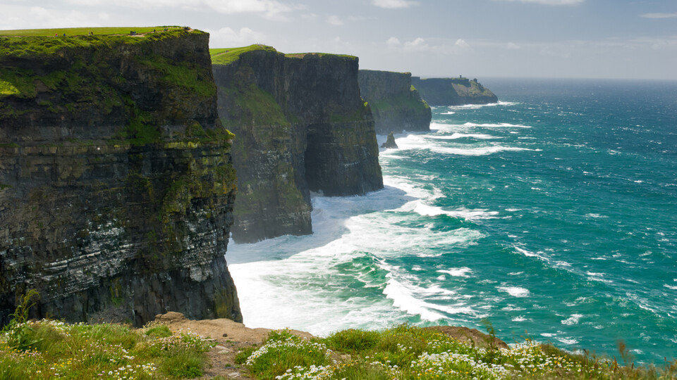 © istock.com/honster