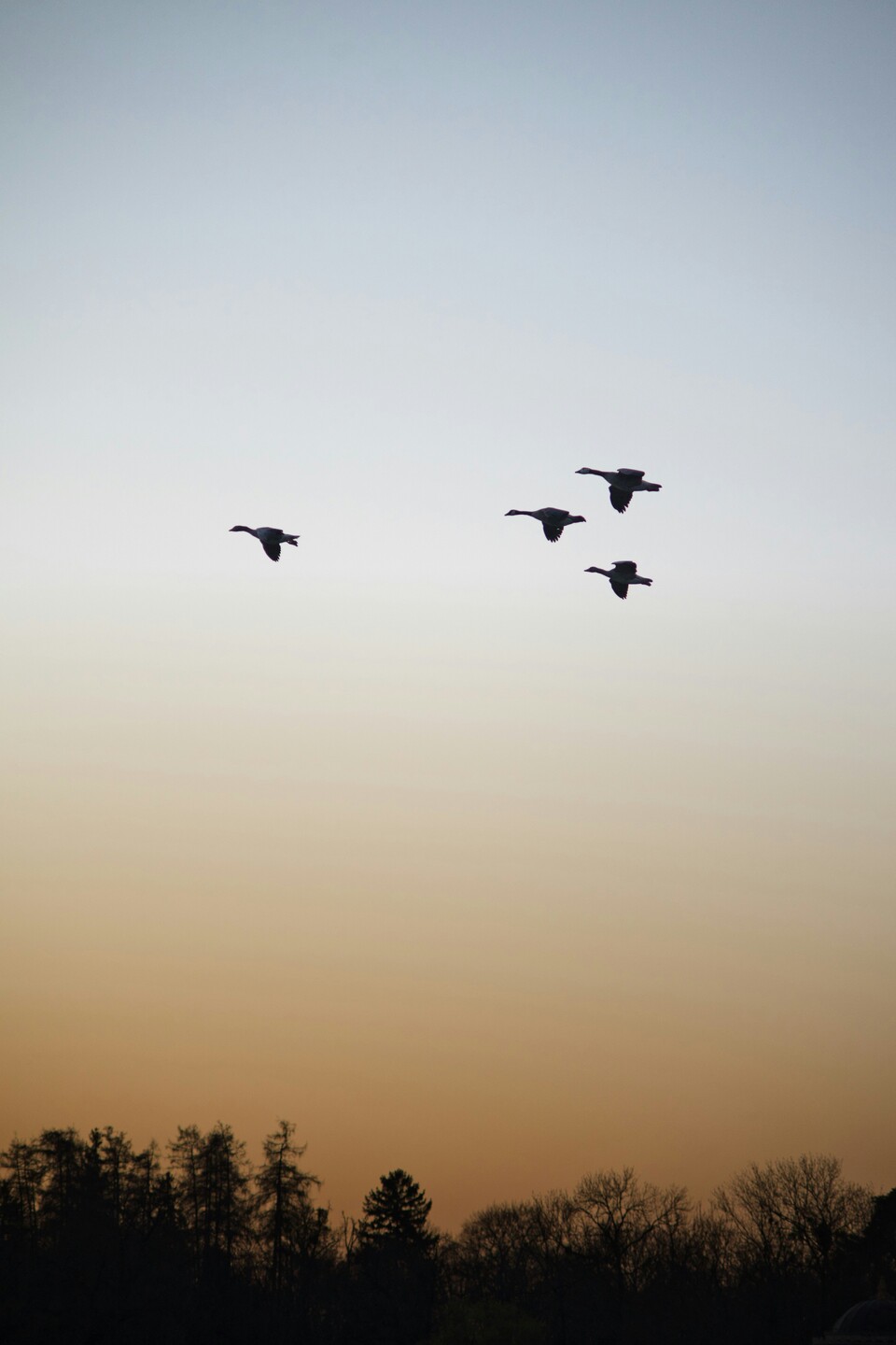 Jonas Stolle/Unsplash